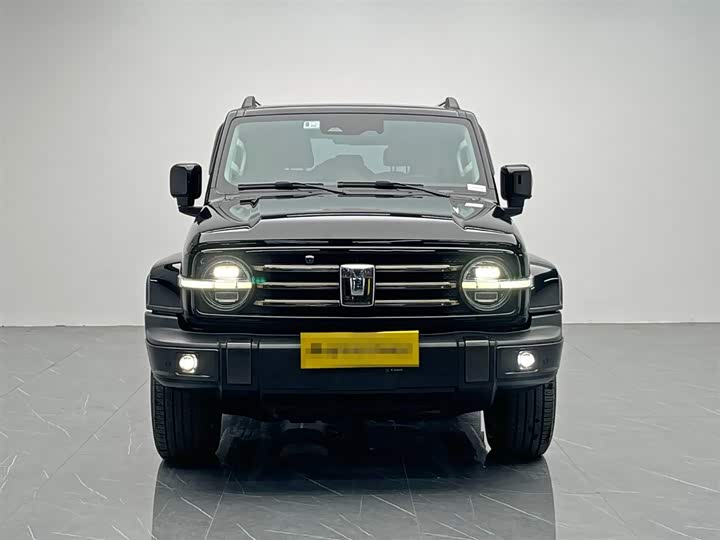 Фото 2 - Tank 300