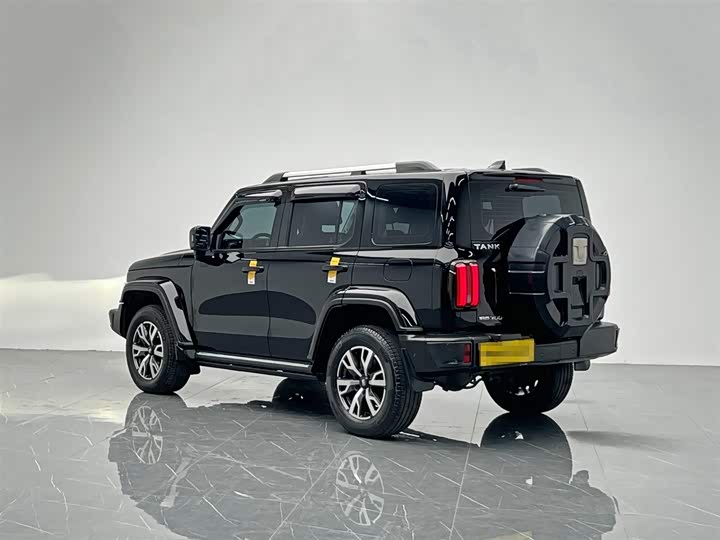 Фото 4 - Tank 300