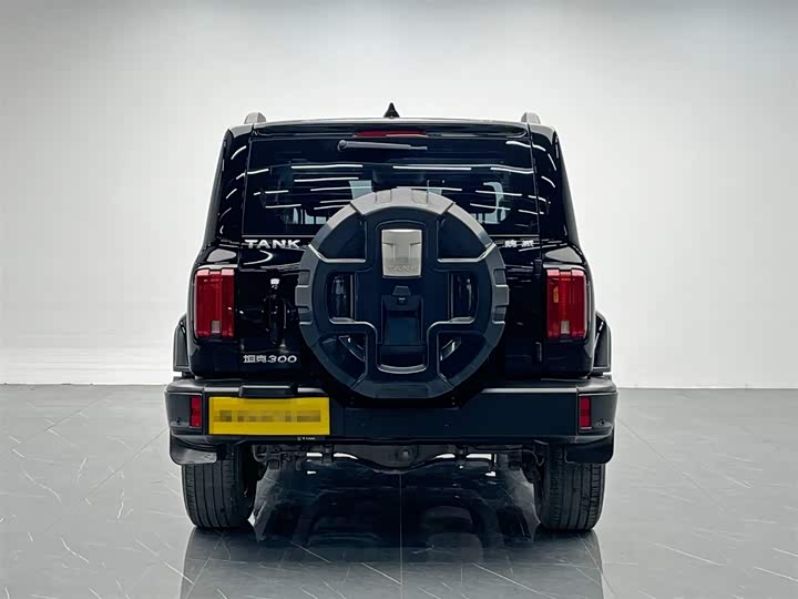 Фото 5 - Tank 300