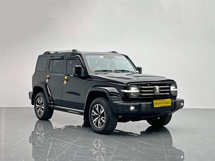 Фото 8 - Tank 300