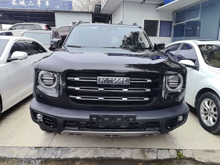 Фото 2 - Haval Dargo