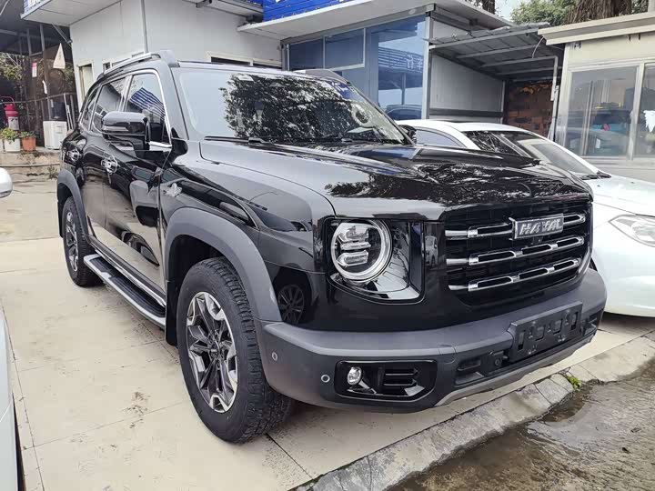 Фото 3 - Haval Dargo