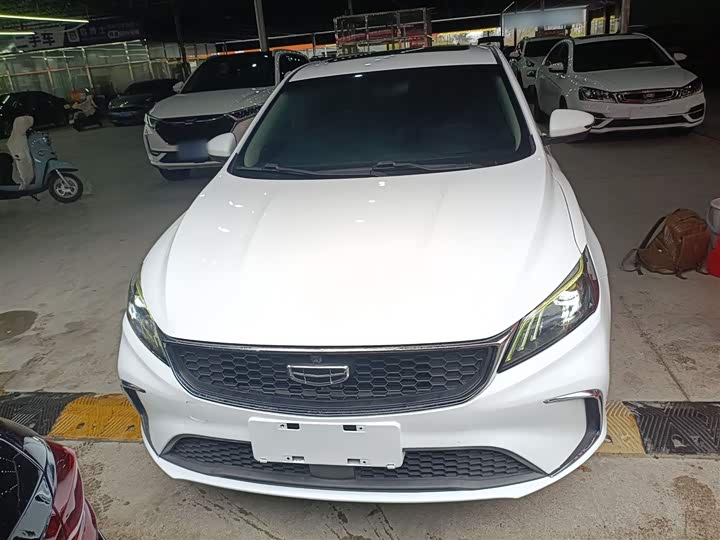 Фото 3 - Geely Binrui