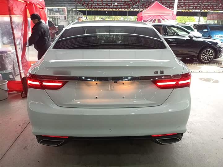 Фото 6 - Geely Binrui