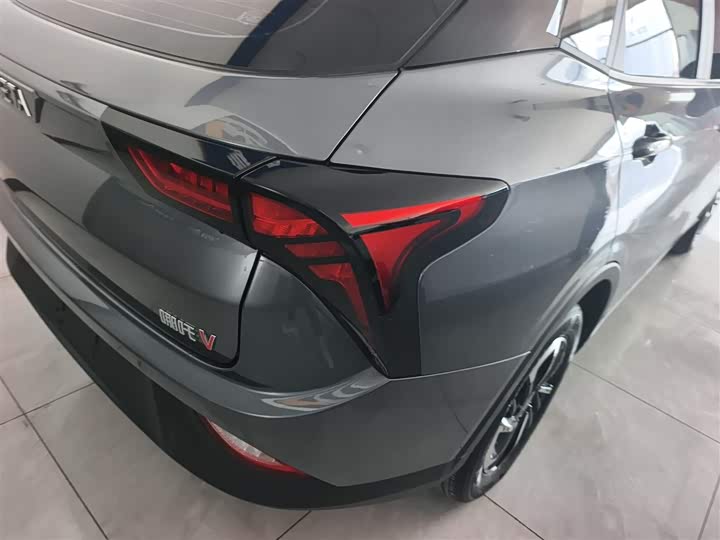 Фото 8 - Hozon V