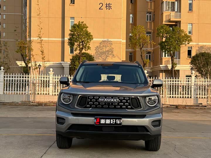 Фото 2 - Haval H-Dog