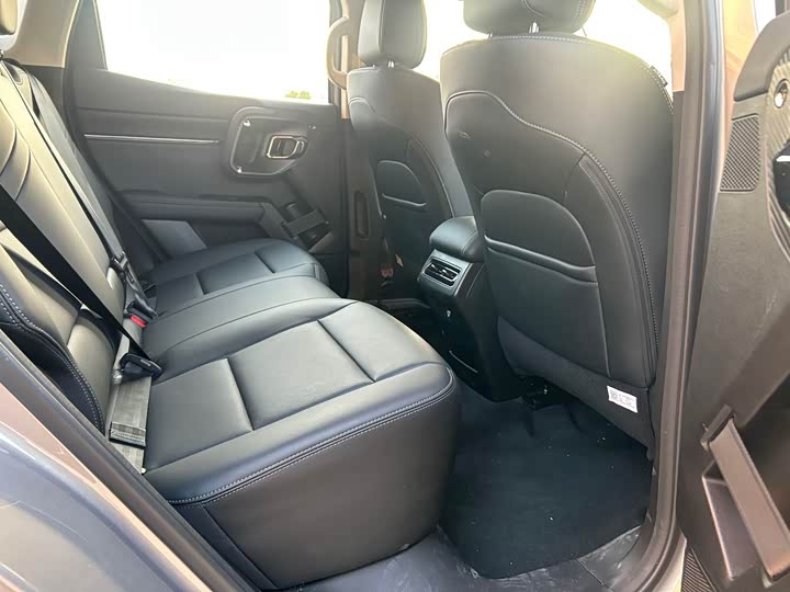 Фото 8 - Haval H-Dog