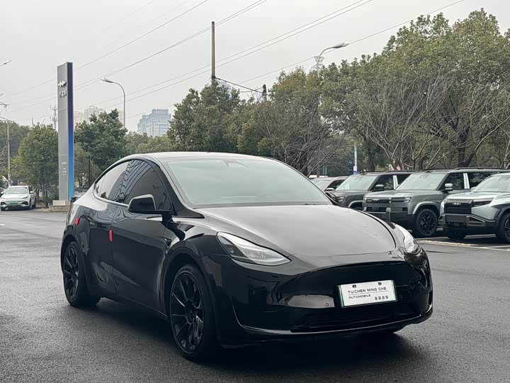 Фото 3 - Tesla Model Y