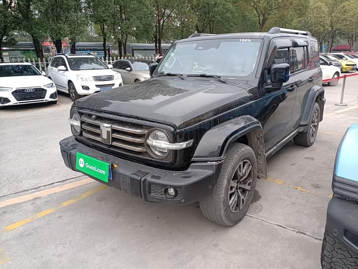 Фото 1 - Tank 300