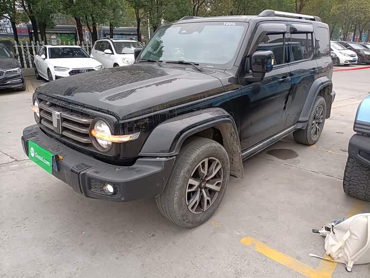 Фото 5 - Tank 300