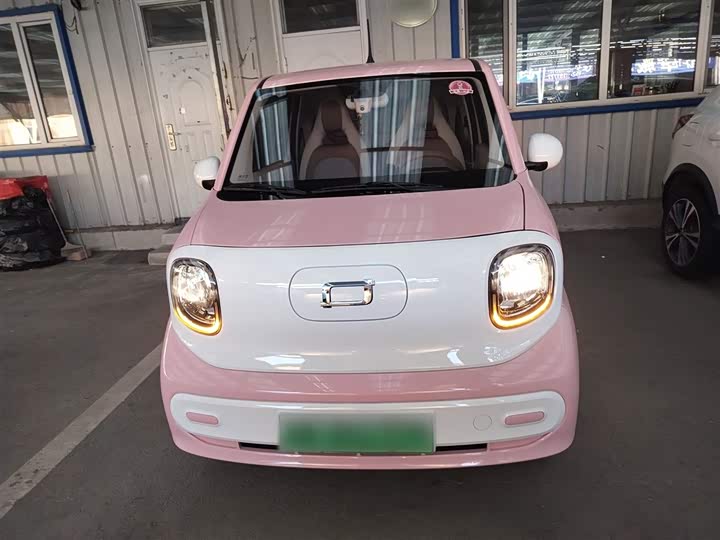 Фото 3 - Bestune Pony