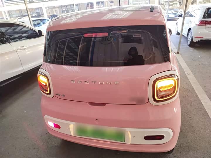 Фото 6 - Bestune Pony