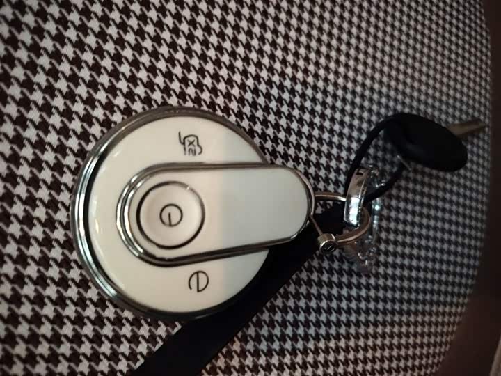 Фото 9 - Bestune Pony