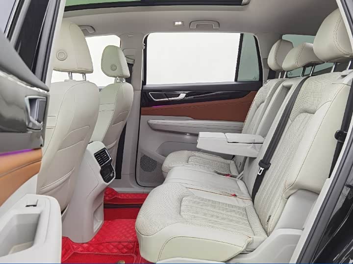 Фото 5 - Volkswagen Teramont Pro