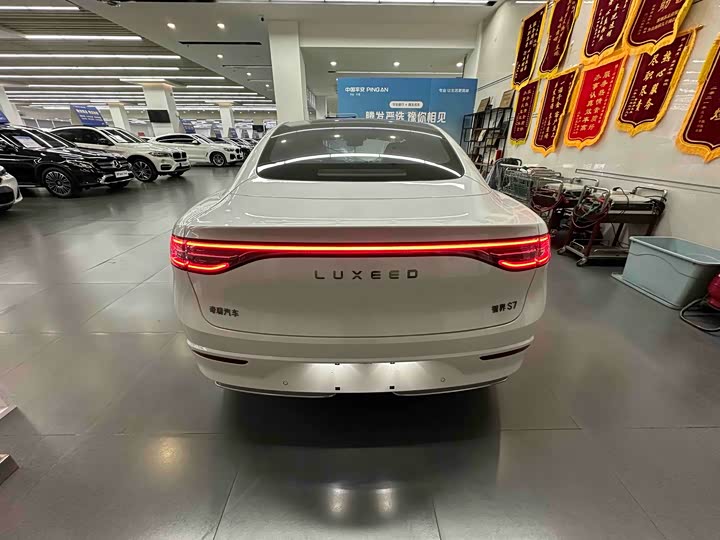 Фото 9 - Luxeed S7