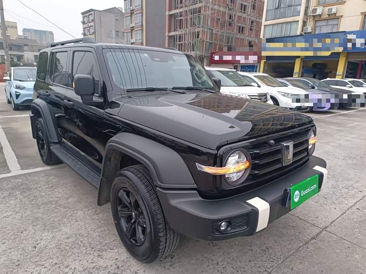 Фото 4 - Tank 300