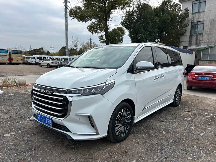 Фото 1 - Maxus G20