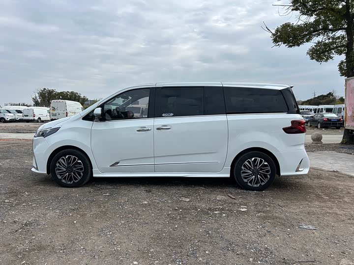 Фото 5 - Maxus G20