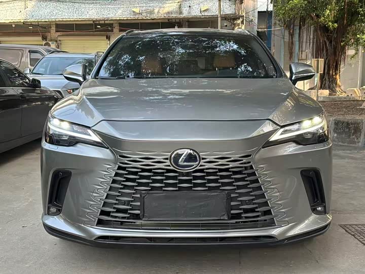 Фото 2 - Lexus RX