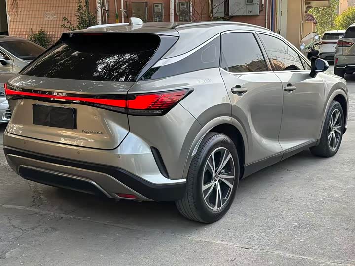 Фото 9 - Lexus RX