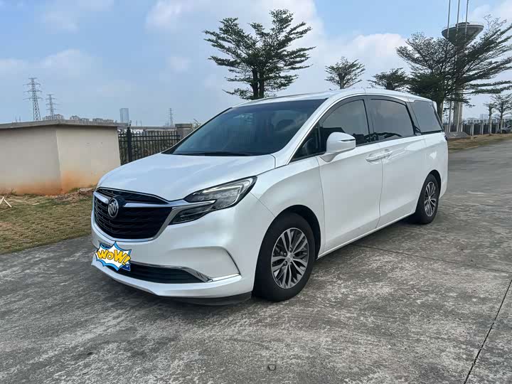 Фото 1 - Buick GL8 ES