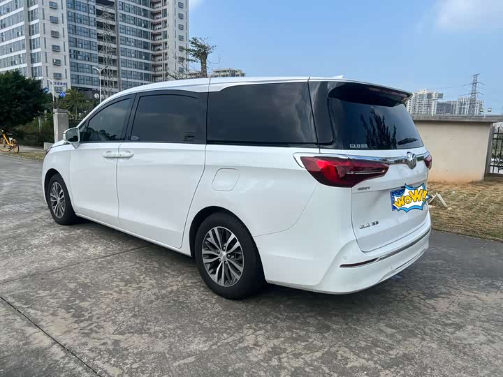 Фото 4 - Buick GL8 ES