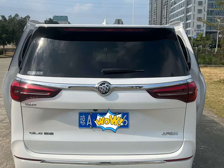 Фото 5 - Buick GL8 ES