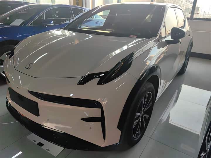 Фото 1 - Zeekr X