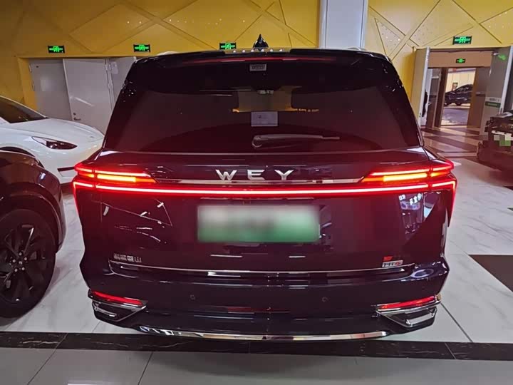 Фото 6 - Wey Lanshan