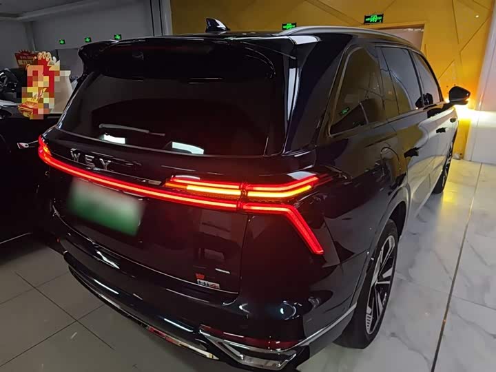 Фото 7 - Wey Lanshan