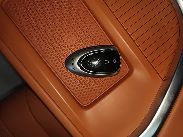 Фото 9 - Wey Lanshan