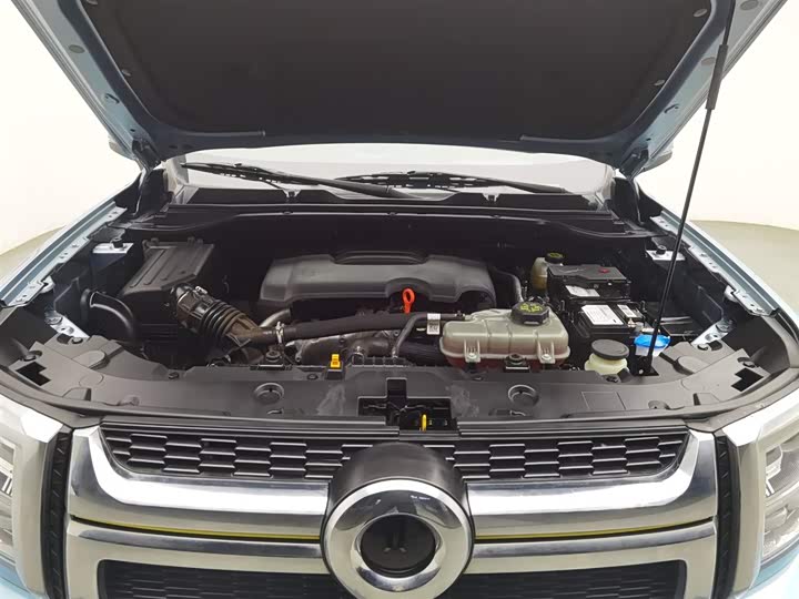 Фото 6 - Great Wall King Kong Poer