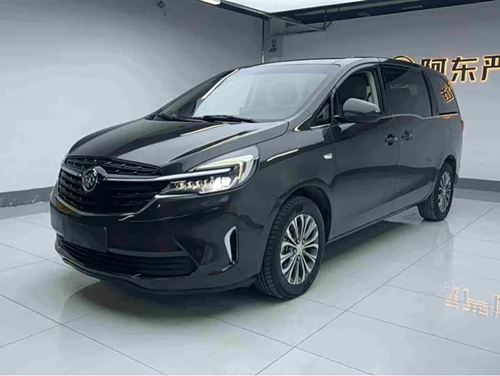 Фото 1 - Buick GL8 ES