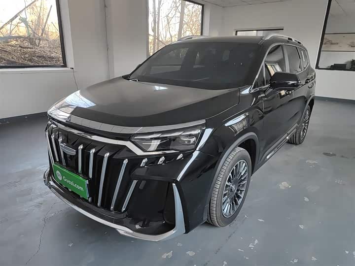 Фото 2 - Geely Okavango L