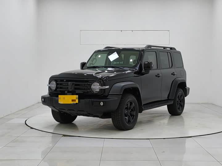 Фото 2 - Tank 300