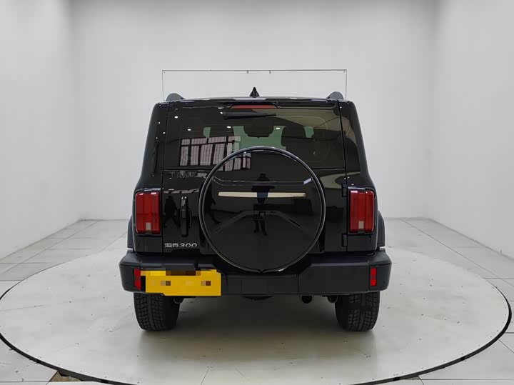 Фото 3 - Tank 300