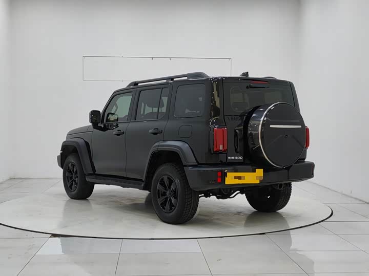 Фото 4 - Tank 300