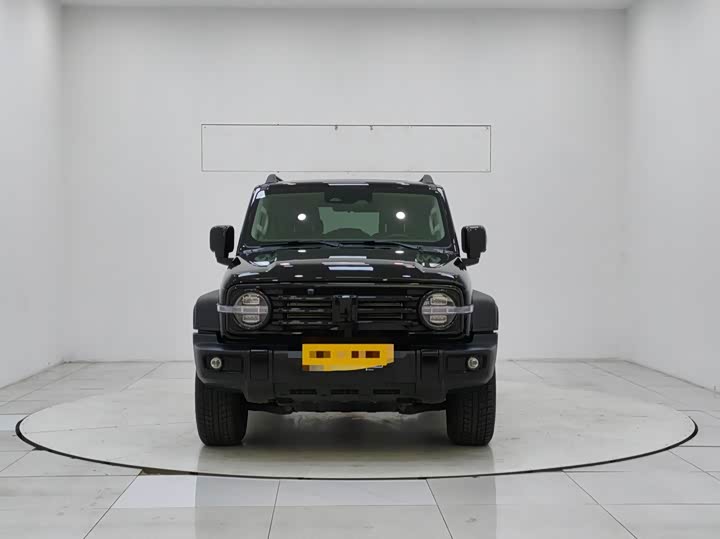 Фото 5 - Tank 300