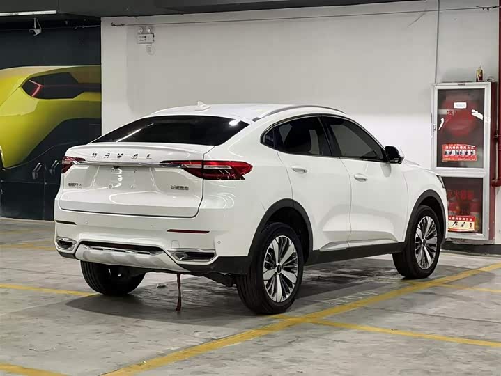 Фото 5 - Haval F7x