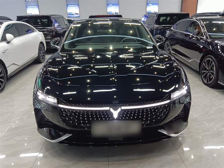 Фото 3 - Voyah Passion