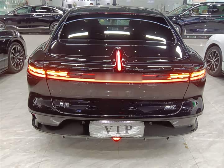 Фото 6 - Voyah Passion