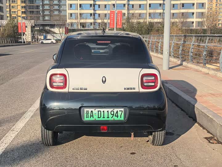 Фото 4 - Ora Black Cat