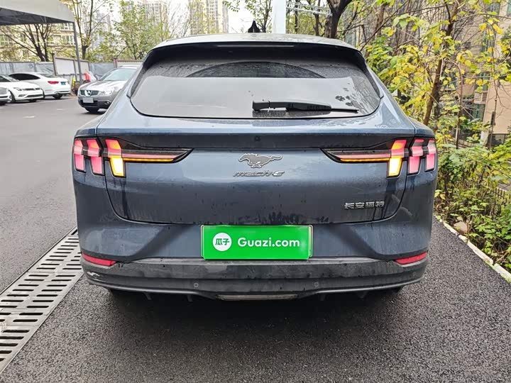 Фото 6 - Ford Mustang Mach-E