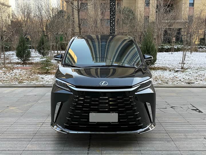 Фото 3 - Lexus LM