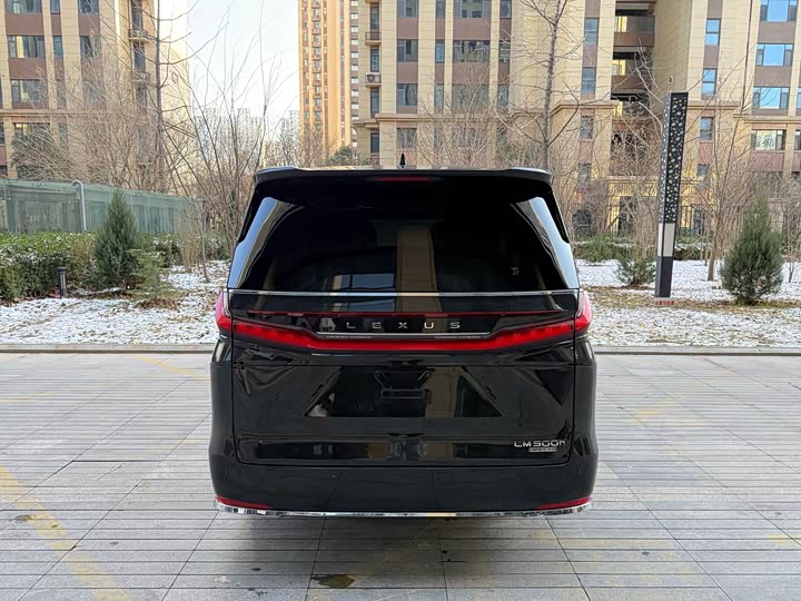 Фото 6 - Lexus LM
