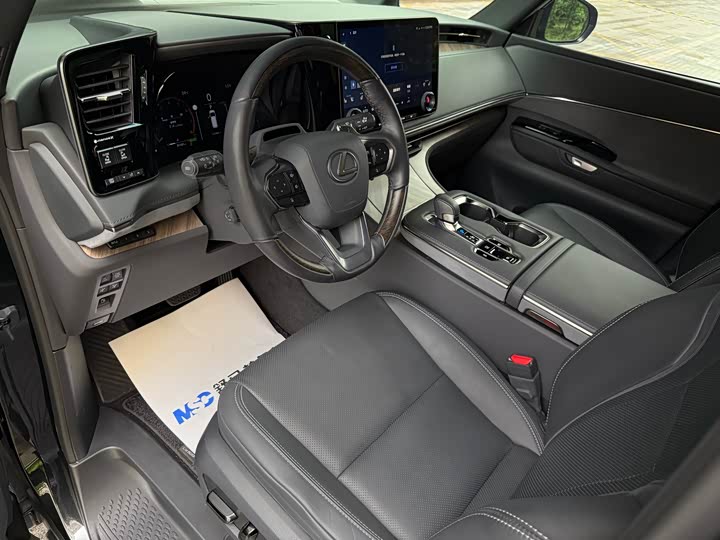 Фото 8 - Lexus LM