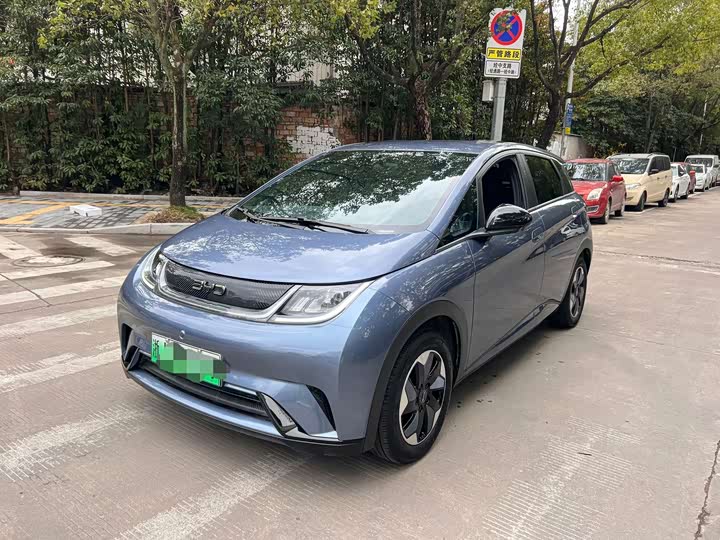 Фото 1 - BYD Dolphin