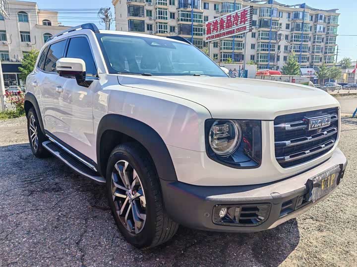 Фото 3 - Haval Dargo