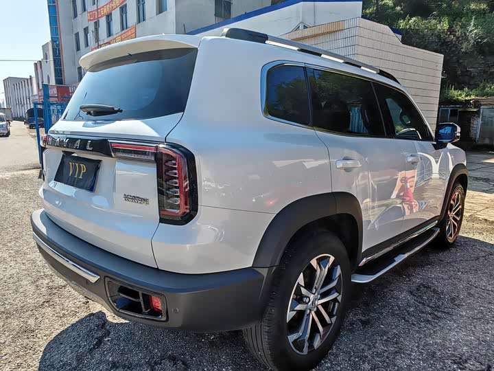 Фото 7 - Haval Dargo