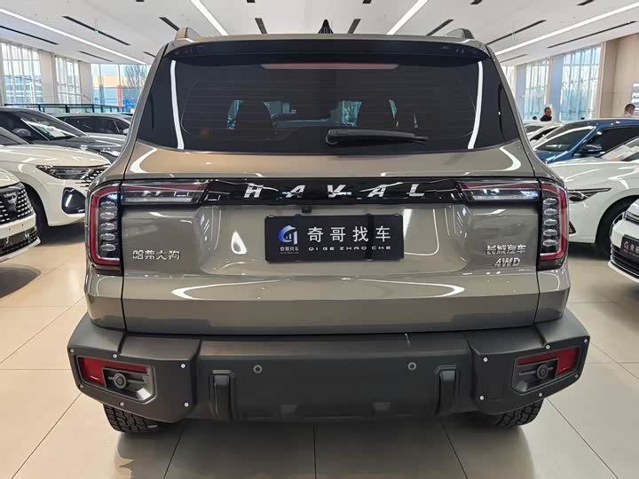 Фото 3 - Haval Dargo